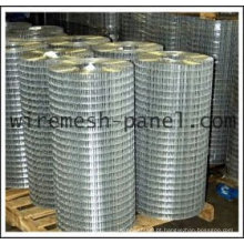 Hot Dipped galvanizado soldado Wire Mesh rolo (Anping Factory)